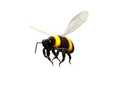 bee-one.jpg